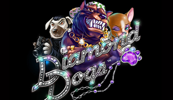 Dimond Dogs Vídeo Caça-Nqiqueis